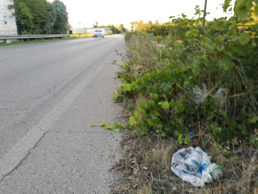 "In tre anni è aumentato il degrado della via per Sogliano"