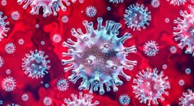 Covid-19. Puglia virus free Covid-19. Puglia virus free