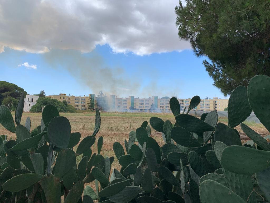 Fiamme nella zona di via Salvo D'Acquisto