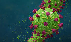 SARS-CoV-2, un modello matematico per studiare più velocemente il vaccino SARS-CoV-2, un modello matematico per studiare più velocemente il vaccino