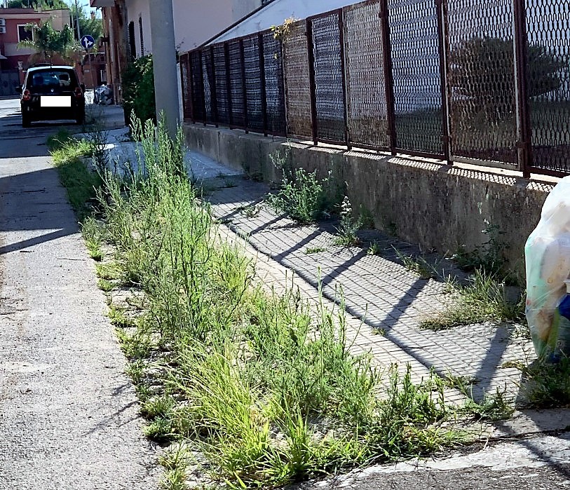 L'incompiuta di via Frosinone