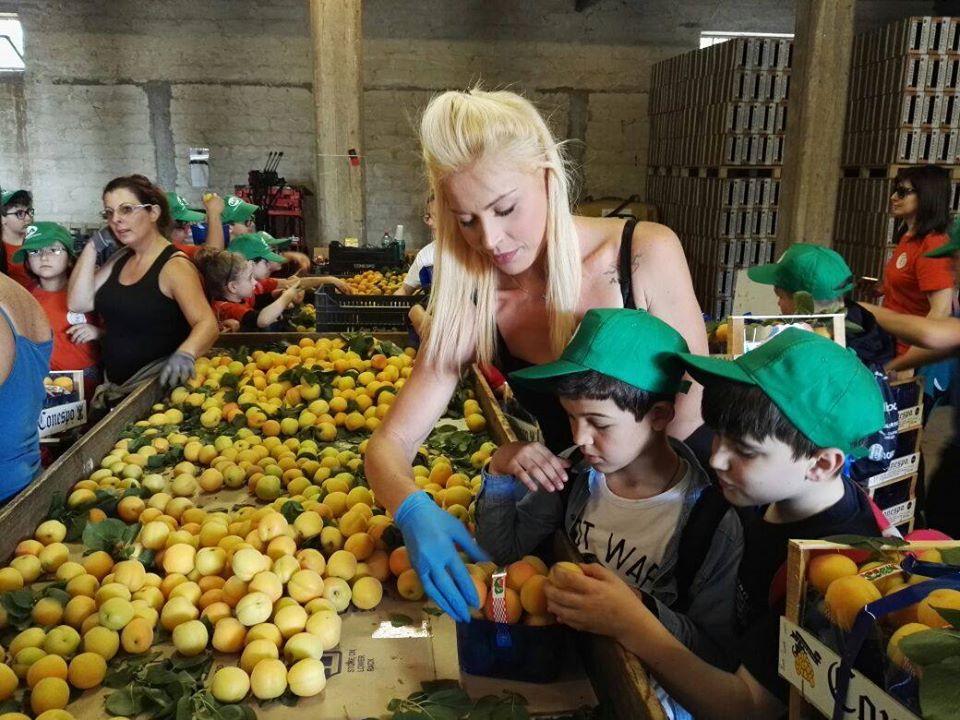 L'agricoltura prima industria di Puglia