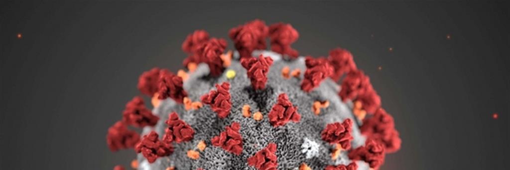 COVID-19. Nessun galatinese fra i 33 attualmente positivi nella provincia di Lecce