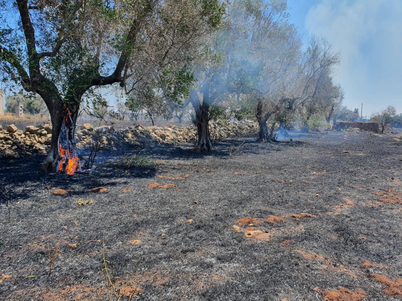 Fiamme sulla Galatina-Lecce. Quando verranno individuati i piromani?