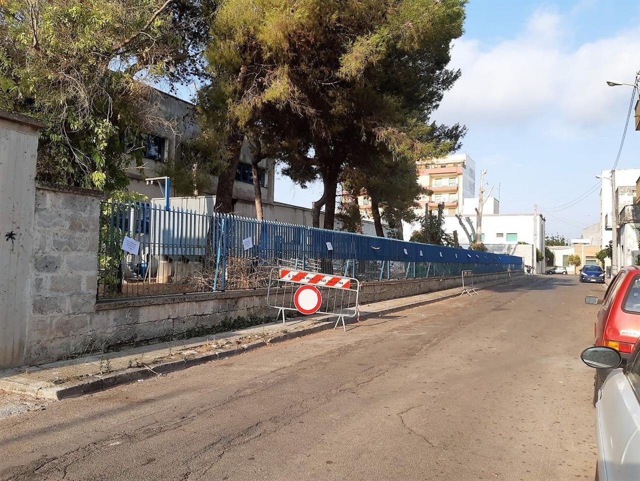 &quot;State uccidendo gli uccellini&quot;