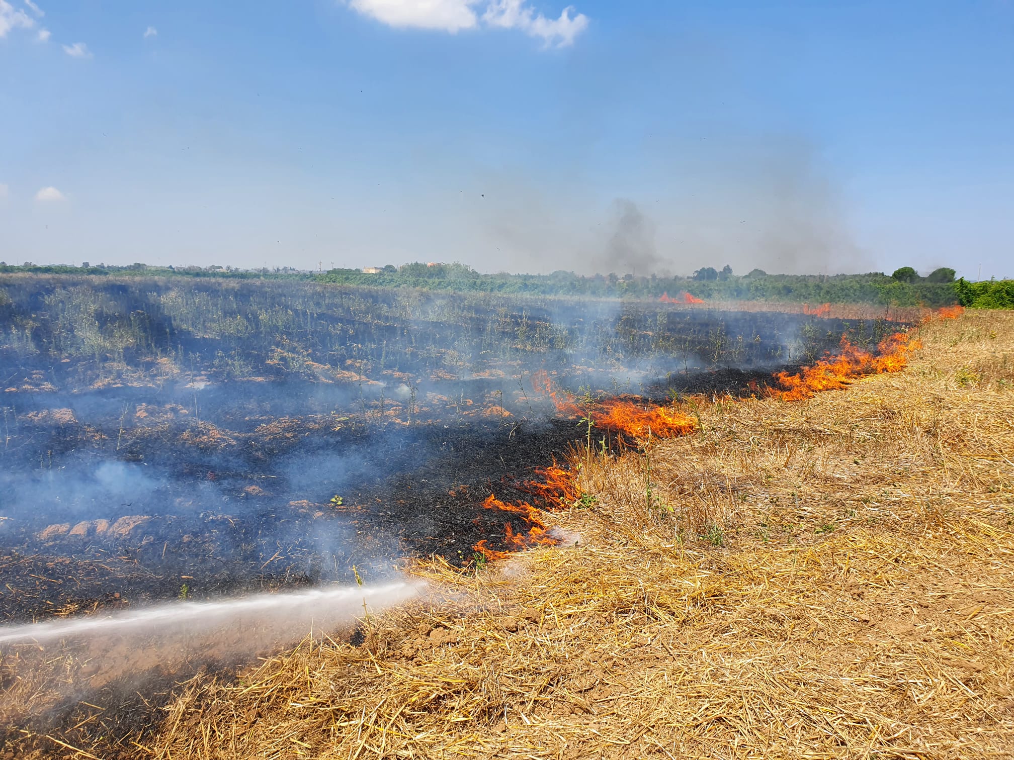 A Galatina gli incendi di Ferragosto