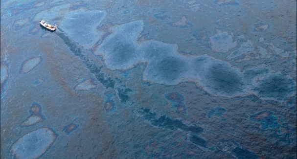 Un batterio ci salverà dall'inquinamento da petrolio Un batterio ci salverà dall'inquinamento da petrolio