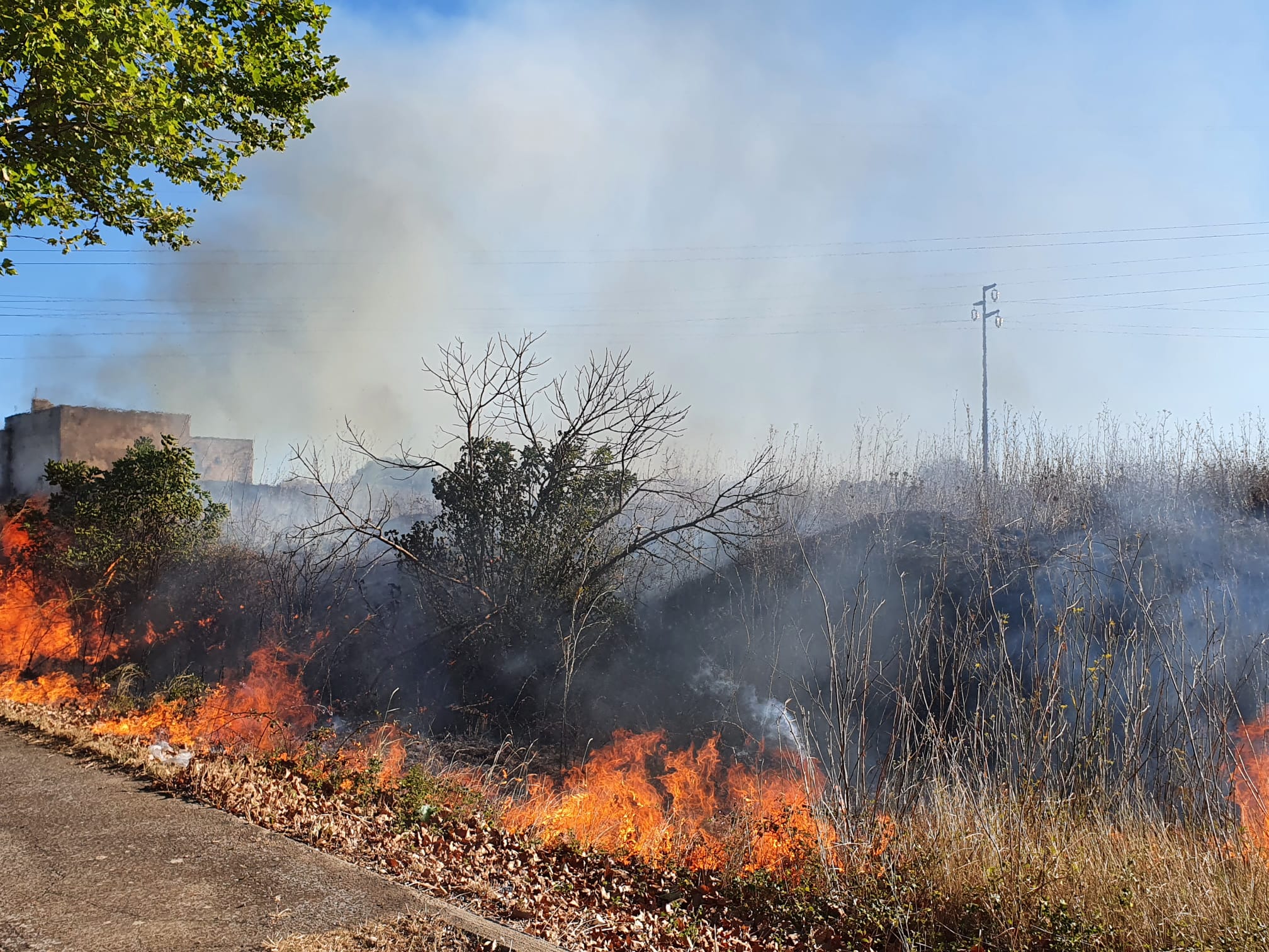 Fiamme in viale Carlo Alberto Dalla Chiesa e contrada Lo Vita