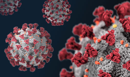 COVID-19. Il virus non lascia il Salento COVID-19. Il virus non lascia il Salento