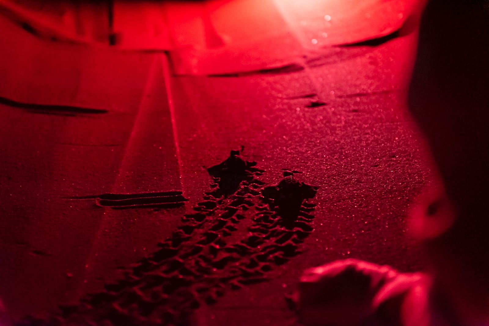 Nate nel Salento altre 28 Caretta caretta