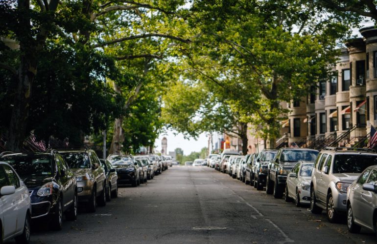 Piantare in Italia 50 milioni di alberi in cinque anni Piantare in Italia 50 milioni di alberi in cinque anni