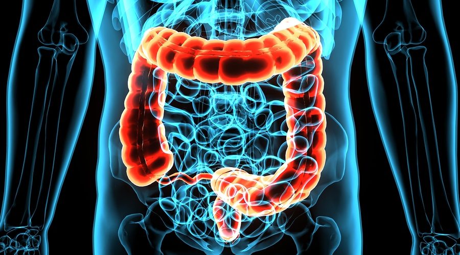 Asl Lecce ha riavviato il programma di screening al colon retto Asl Lecce ha riavviato il programma di screening al colon retto