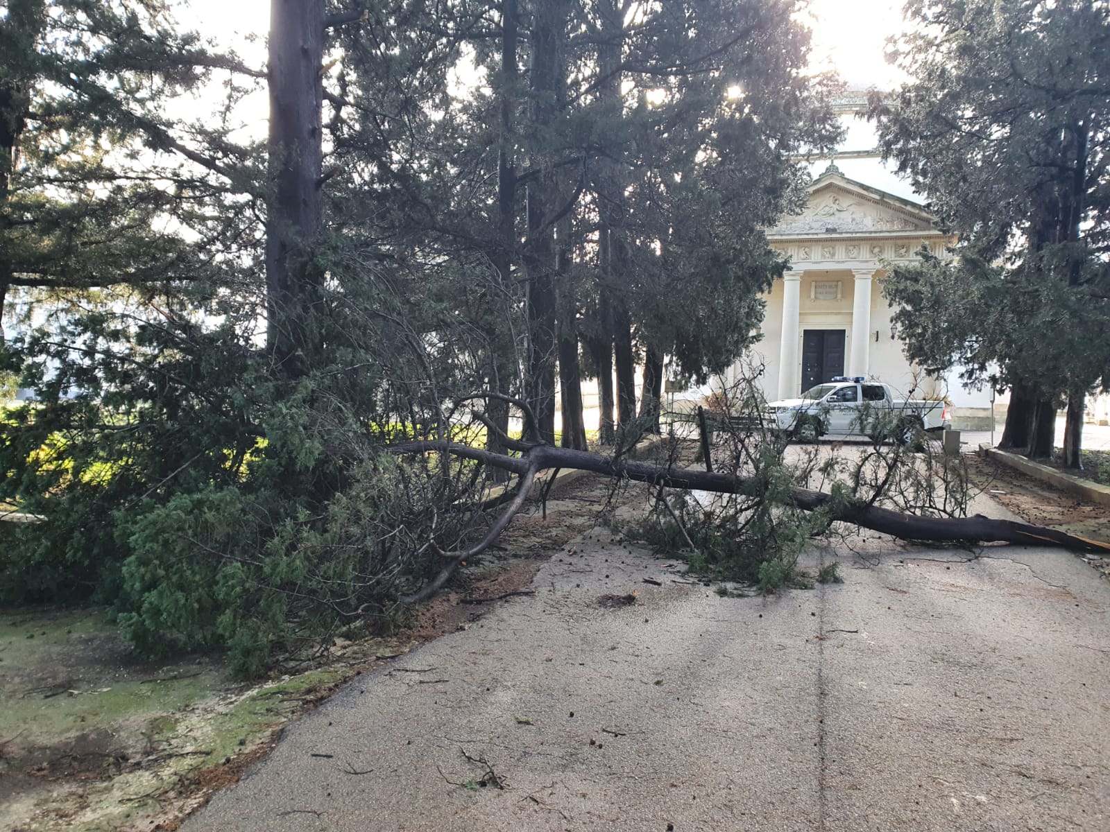 Un terribile vento semina distruzione nel territorio di Galatina