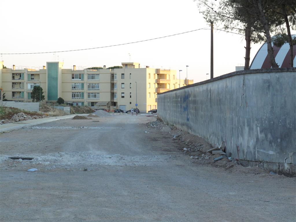 Circonvallazione-ovest, lavori a rilento e i topi ballano sui terrazzi di via Vernaleone