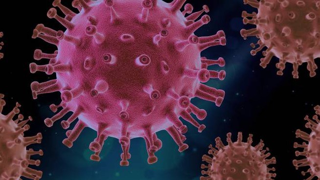 COVID-19. In Puglia 645 nuovi positivi su 4147 test (15%). Tamponi rapidi per chi rientra in Puglia dalla Gran Bretagna COVID-19. In Puglia 645 nuovi positivi su 4147 test (15%). Tamponi rapidi per chi rientra in Puglia dalla Gran Bretagna