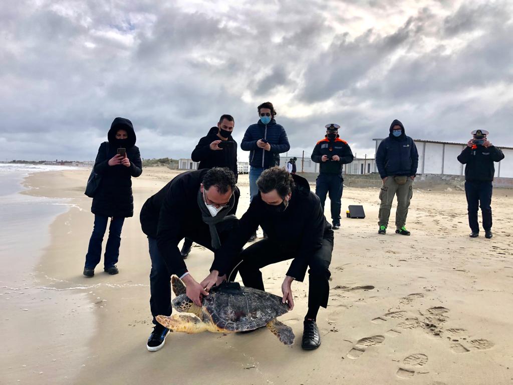 Liberata a Torre Chianca una caretta caretta con trasmettitore satellitare