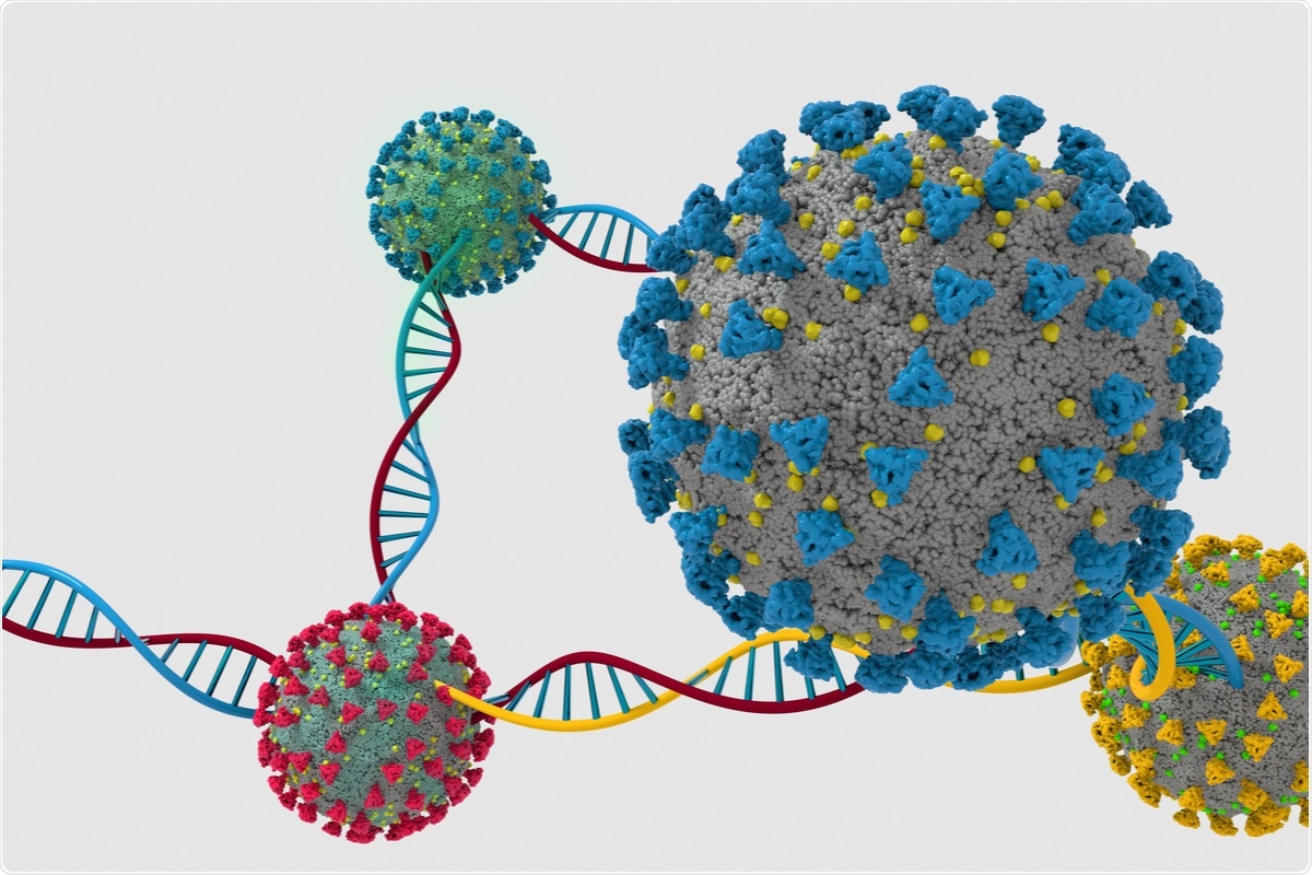 Un nuovo software per facilitare l’analisi del genoma del coronavirus SARS-CoV-2 Un nuovo software per facilitare l’analisi del genoma del coronavirus SARS-CoV-2