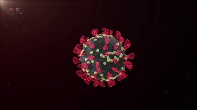 COVID-19. Tre decessi in provincia di Lecce