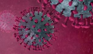 COVID-19. 88 nuovi casi e 8 decessi in provincia di Lecce