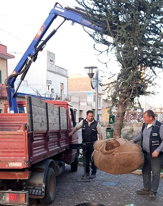 Grazie all'impegno di alcuni amici del Rione Italia, è rispuntato &quot;Natalino&quot;