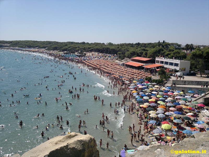 Fuoco a Torre dell'Orso, distrutta una vasta zona di pineta Fuoco a Torre dell'Orso, distrutta una vasta zona di pineta