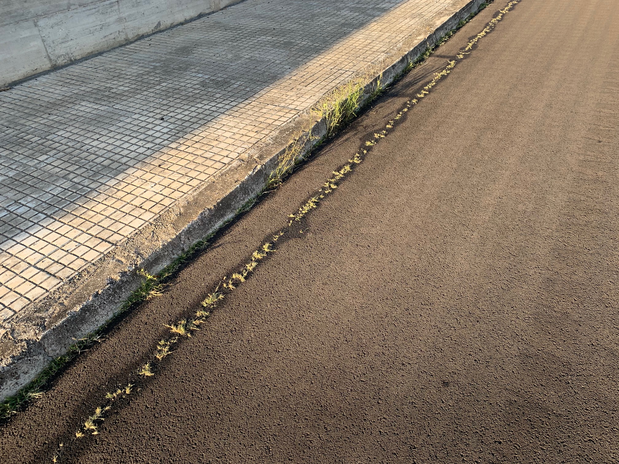 &quot;I lavori di Viale Don Bosco sono la dimostrazione evidente del cattivo uso dei soldi dei cittadini&quot;