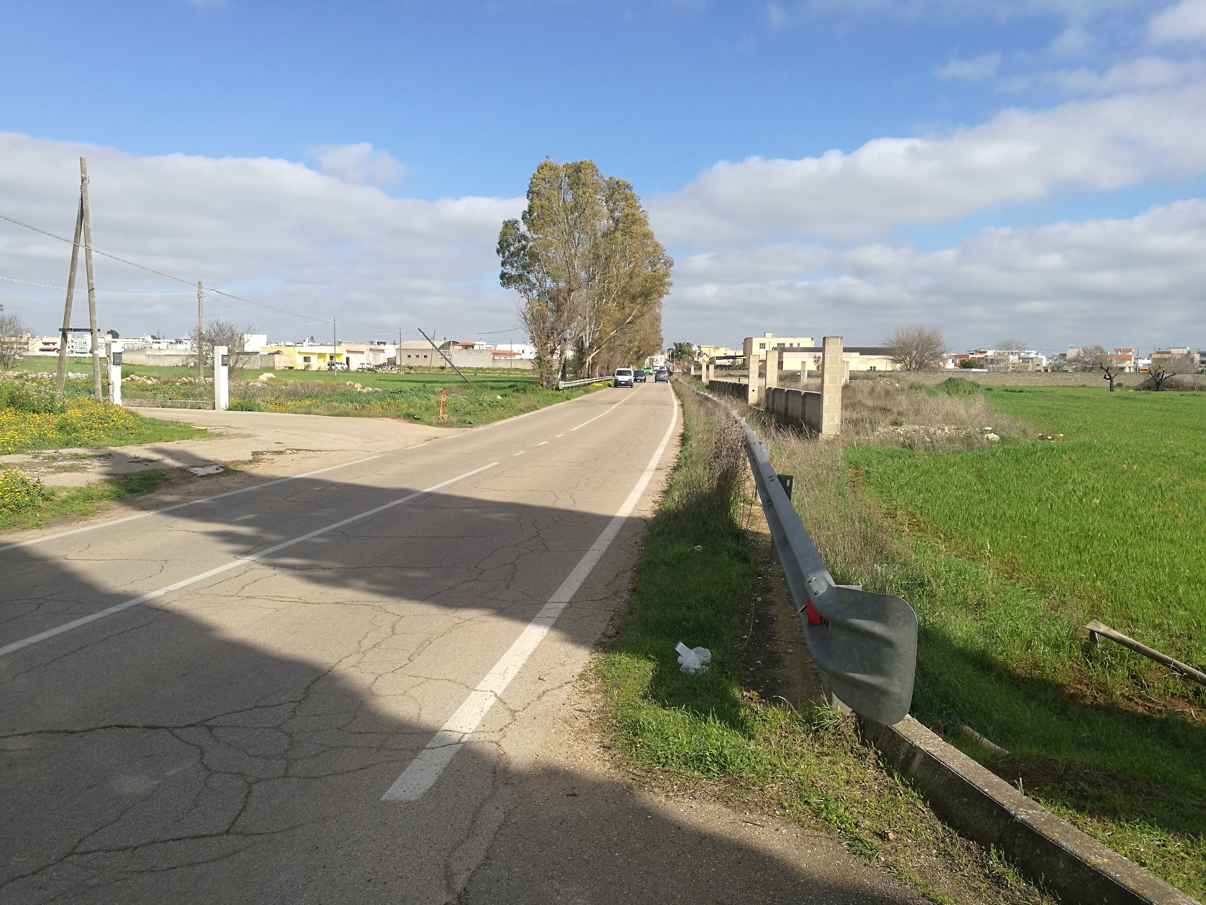 La strada per il cimitero di Noha è pericolosa. Il segretario del Pd scrive a Minerva La strada per il cimitero di Noha è pericolosa. Il segretario del Pd scrive a Minerva