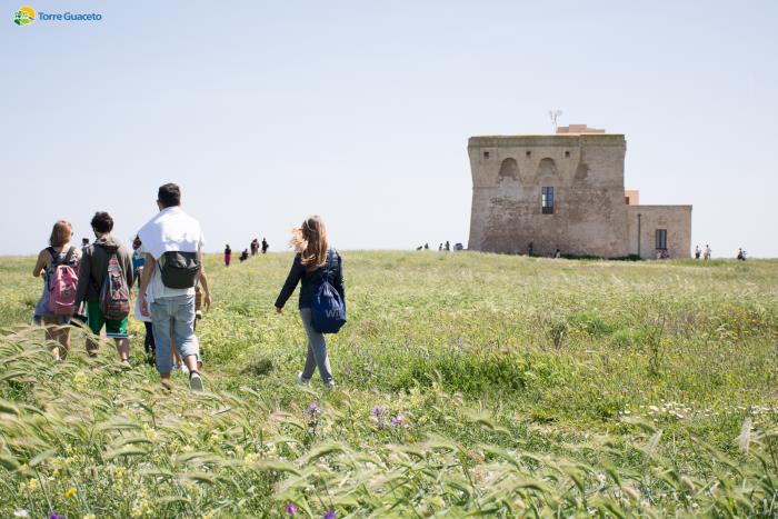 Volontari per la riserva di Torre Guaceto, aperte le iscrizioni Volontari per la riserva di Torre Guaceto, aperte le iscrizioni