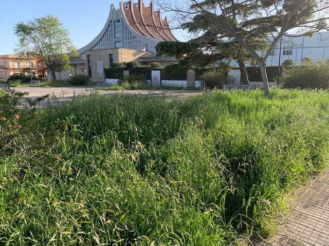 “Valorizzazione del Bene Comune”, che fine ha fatto?