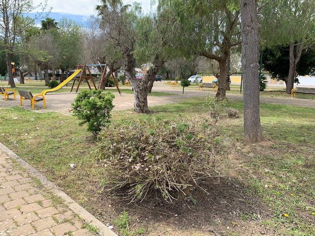 &quot;Tagliatele!&quot;