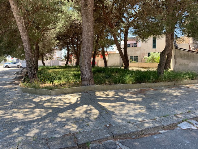 Galatina ridotta ad &quot;uno sconsolante paesone di incuria e squallore&quot;