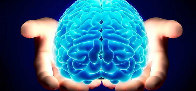“Il cervello è l’organo del corpo che in assoluto consuma più energia" “Il cervello è l’organo del corpo che in assoluto consuma più energia"
