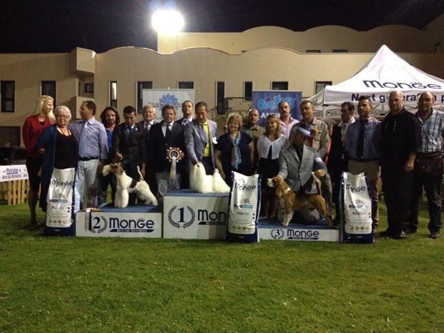 Grande successo della manifestazione cinofila all'Hermitage