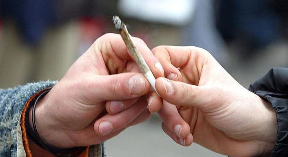 La cannabis, le leggi e i giovani La cannabis, le leggi e i giovani