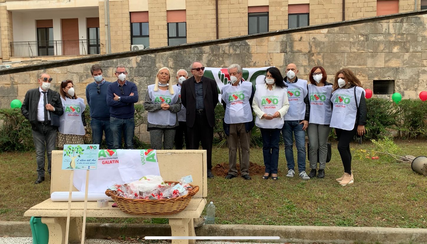 Piantumato in Ospedale a Galatina un melograno simbolo del volontariato