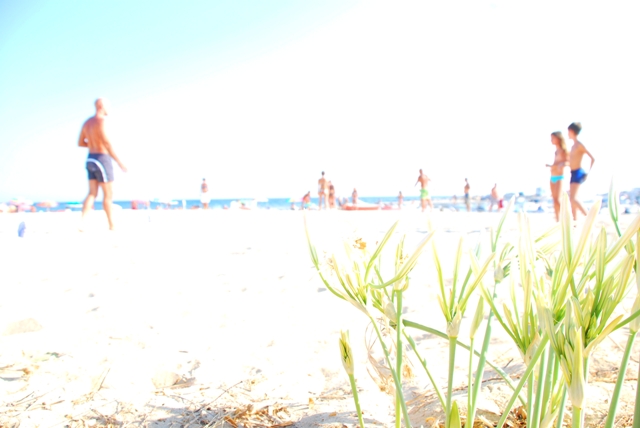 'Cromatismi' di Sara De Carlo nel Palazzo della Cultura