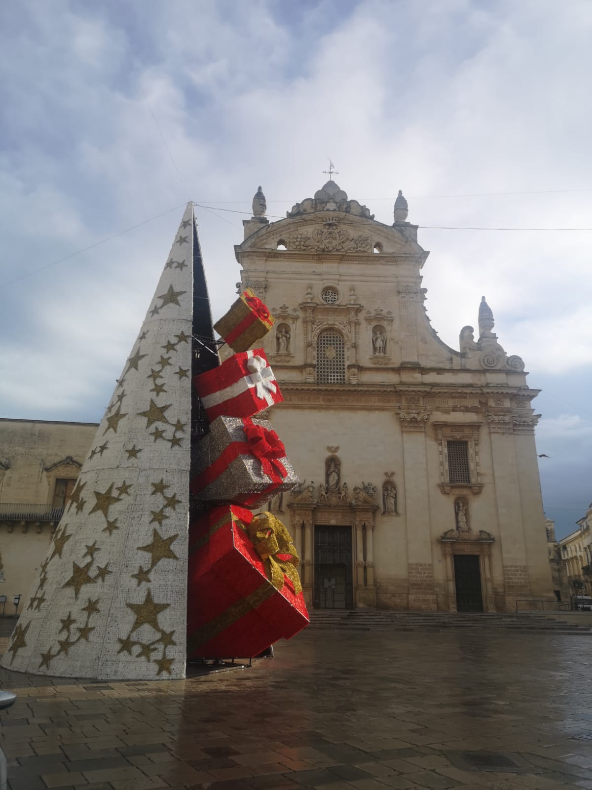 In Piazza San Pietro un albero di Natale alto 15 metri