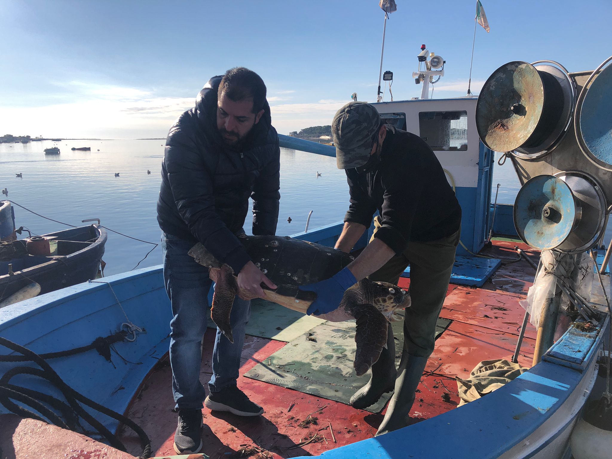 Natalie e Stefy, le due tartarughe marine di Porto Cesareo