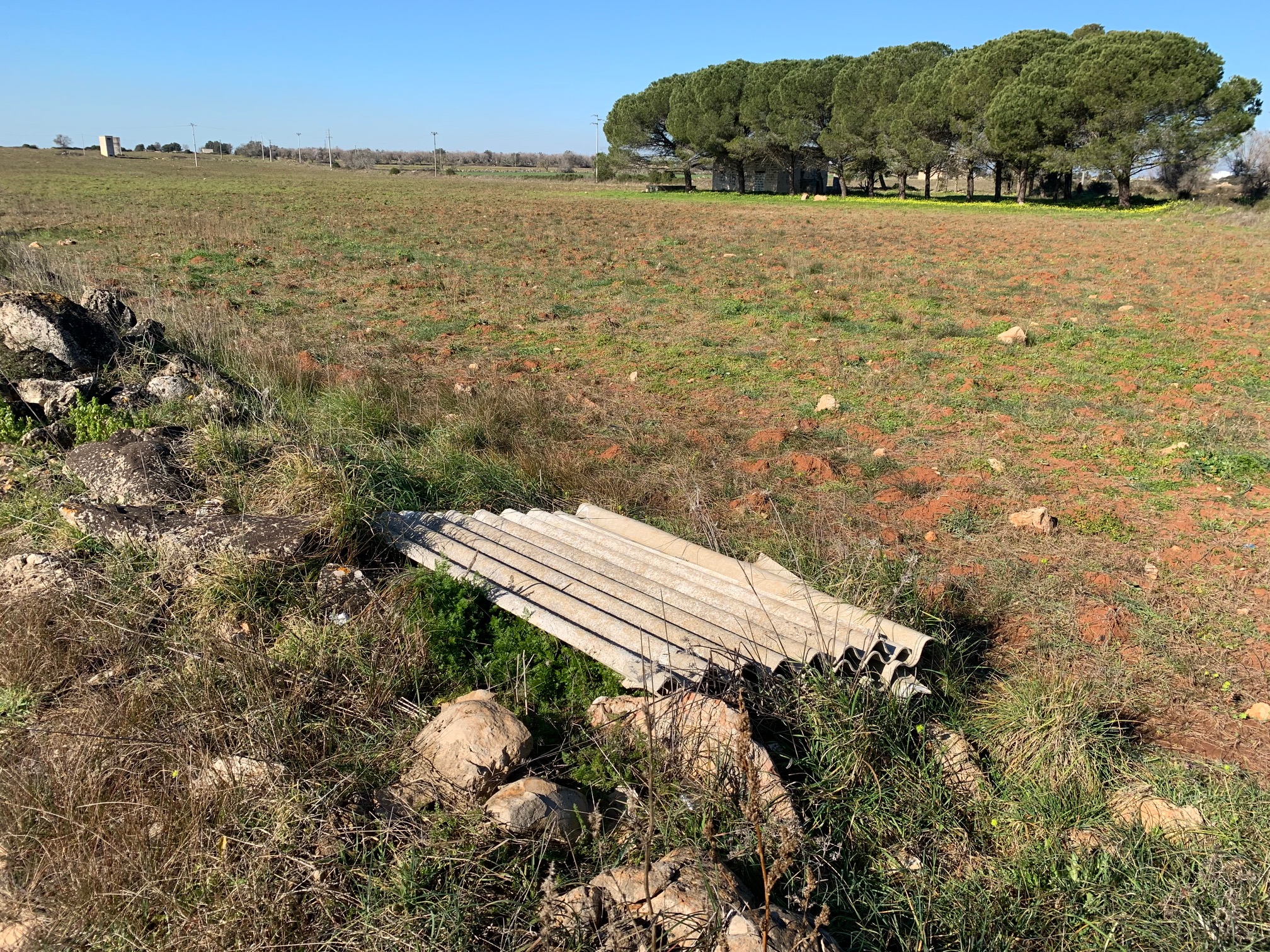 "Rifiuti abbandonati. Galatina saprà cogliere l'opportunità offerta dai finanziamenti regionali?" "Rifiuti abbandonati. Galatina saprà cogliere l'opportunità offerta dai finanziamenti regionali?"
