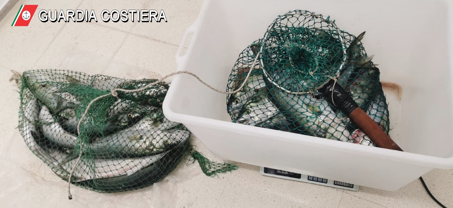 Sequestrati 40 kg di pesce e multati ad Otranto i pescatori di frodo Sequestrati 40 kg di pesce e multati ad Otranto i pescatori di frodo