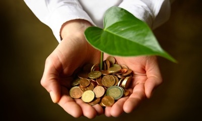120000 euro per i giovani salentini nelle imprese 'verdi' 120000 euro per i giovani salentini nelle imprese 'verdi'