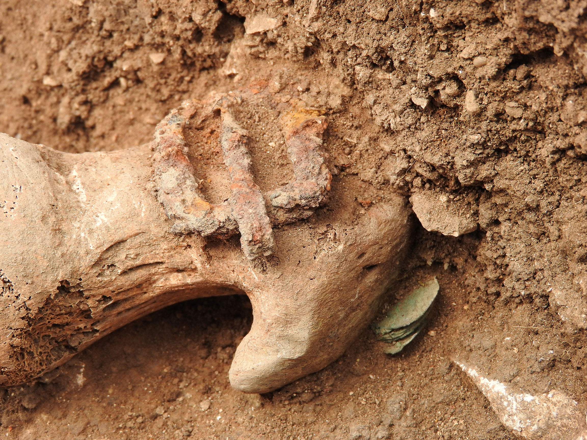 “Monete intoccabili. I gruzzoli di monete di due morti di peste nella Puglia settentrionale del XIV secolo. L’apporto delle analisi del DNA”