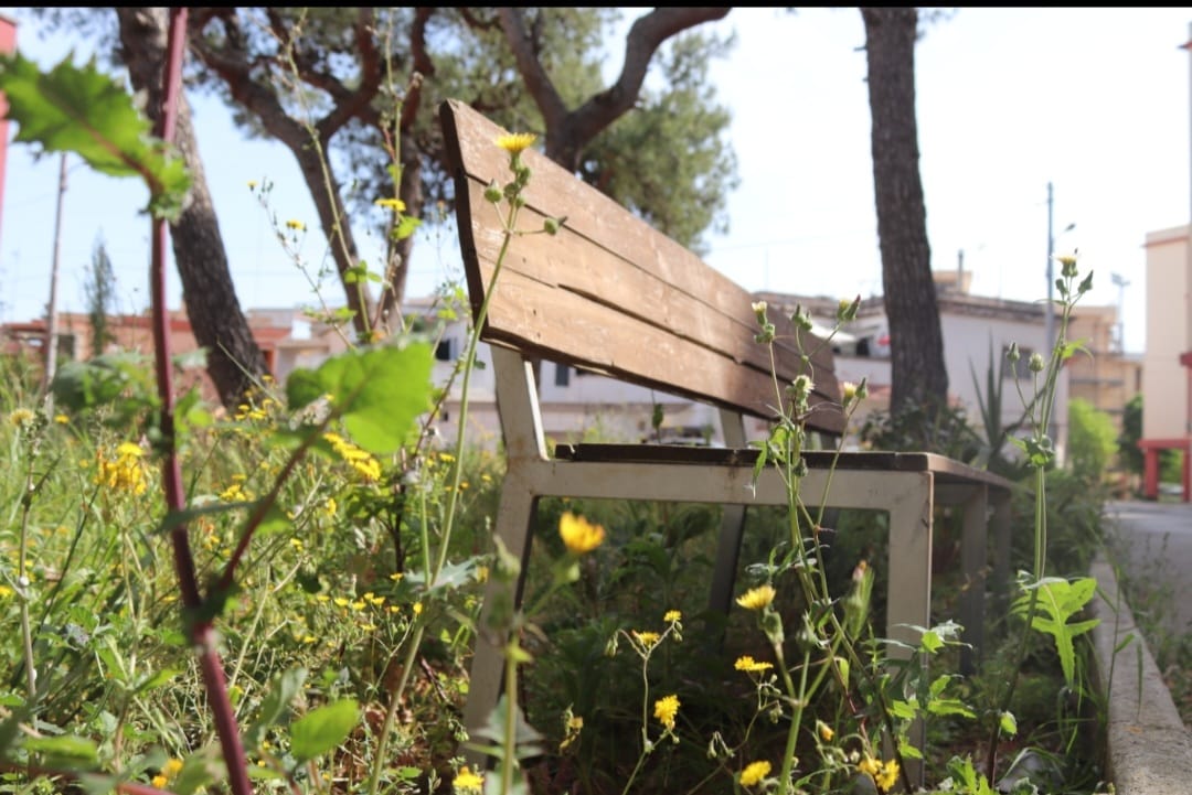 &quot;Immersi nel verde&quot;