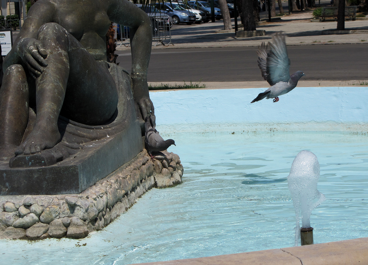 Due piccioni accaldati su una 'Pupa'