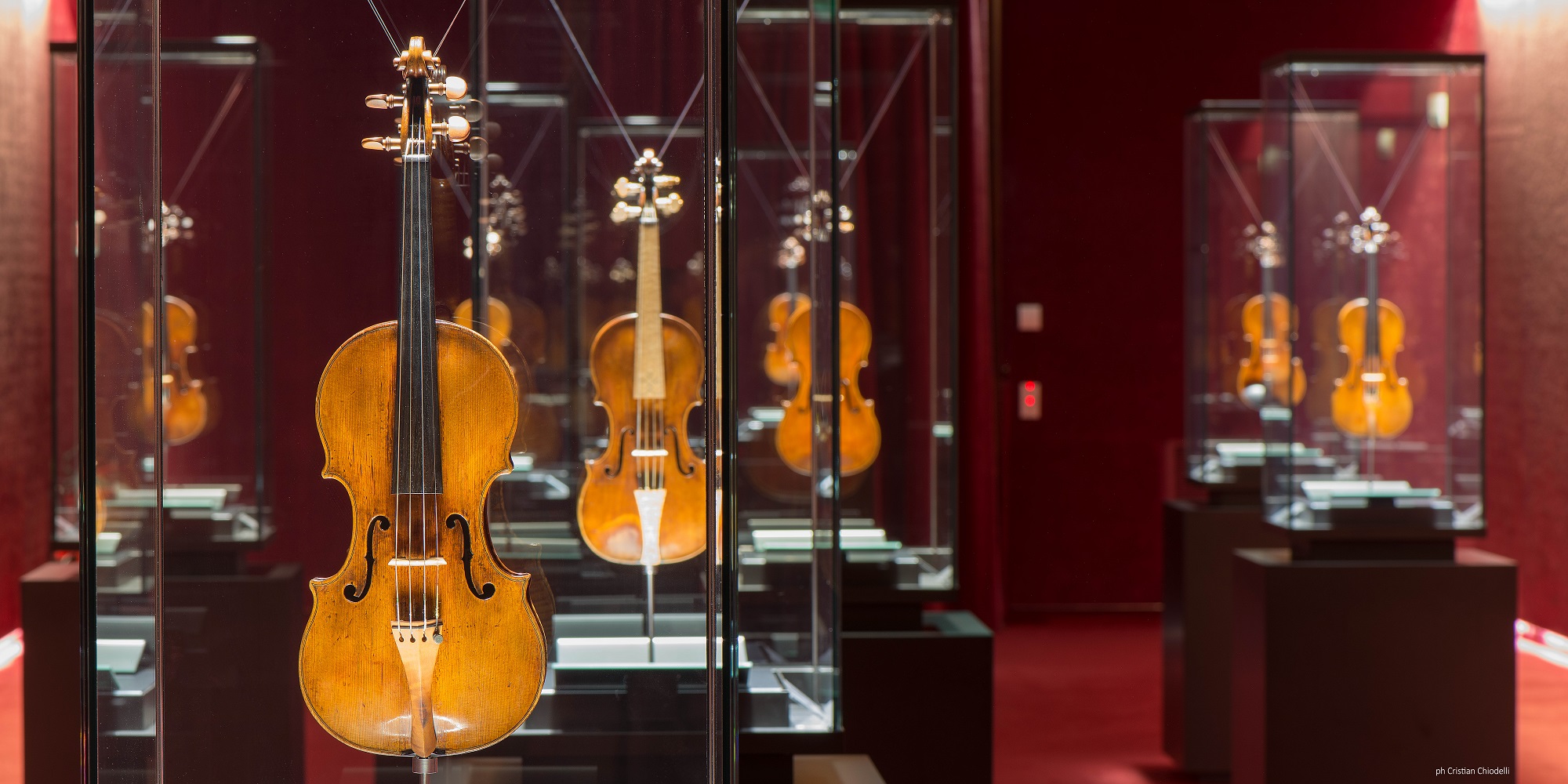 Alla ricerca del violino perfetto Alla ricerca del violino perfetto
