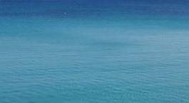 Nuove prospettive di intervento terapeutico per la prevenzione e la cura dell'Alzheimer Nuove prospettive di intervento terapeutico per la prevenzione e la cura dell'Alzheimer