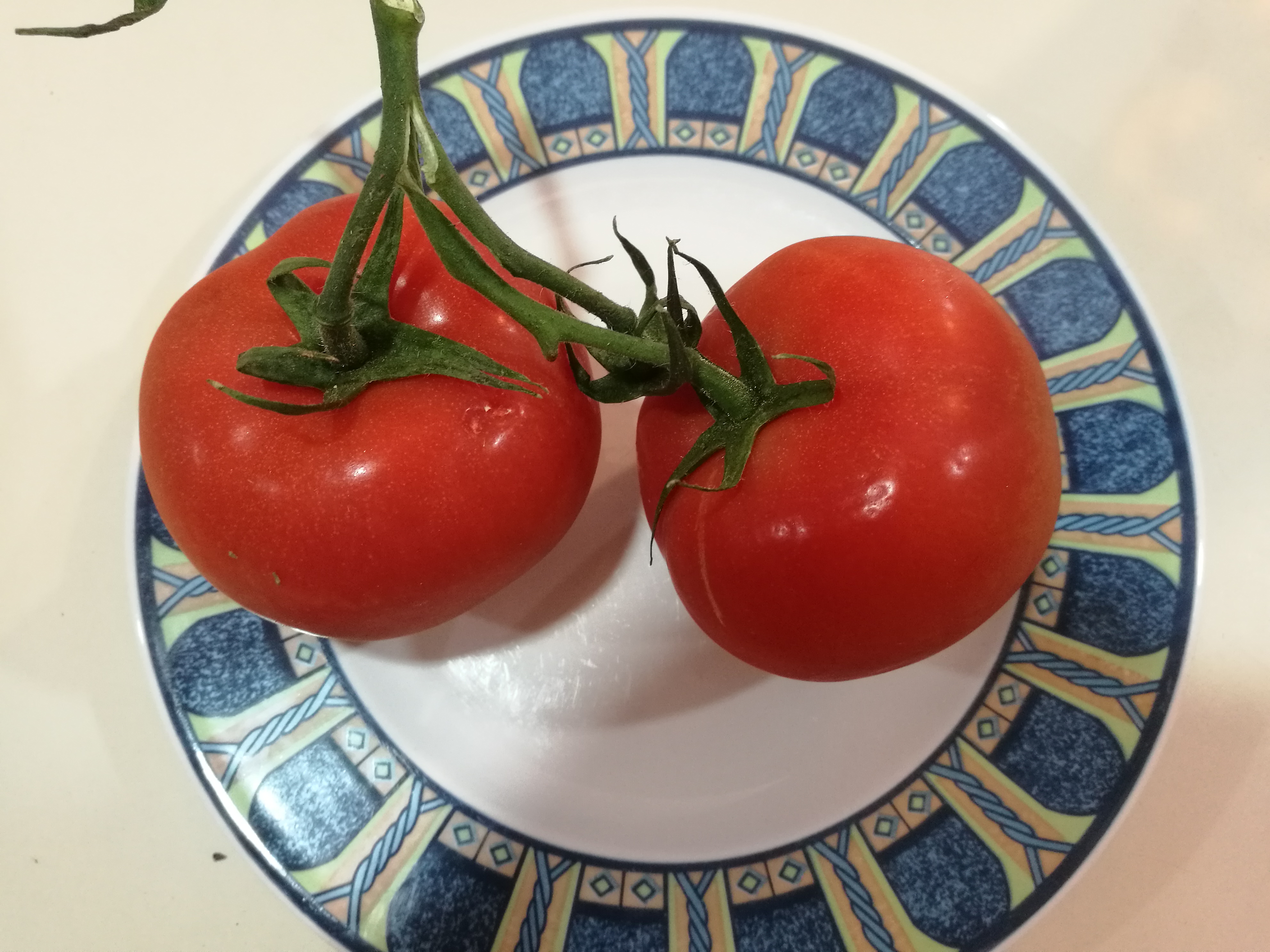 Nasce a Lecce un nuovo pomodoro ricco di vitamina D Nasce a Lecce un nuovo pomodoro ricco di vitamina D