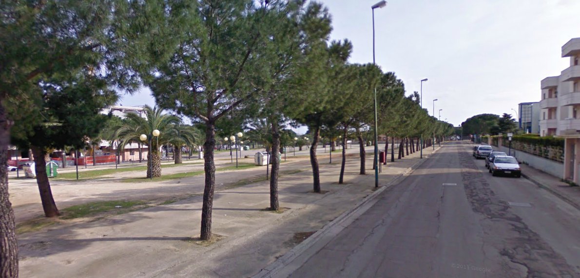 'Verrà ripristinata la pubblica illuminazione alla 167. Vogliamo sapere chi ha portato la Fiera al dissesto" 'Verrà ripristinata la pubblica illuminazione alla 167. Vogliamo sapere chi ha portato la Fiera al dissesto"