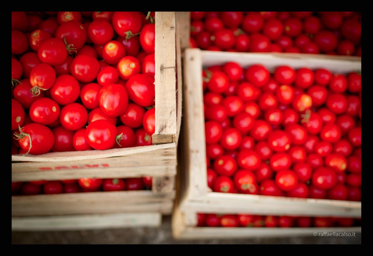 'I pummidori'. Fotoracconto di una tradizione
