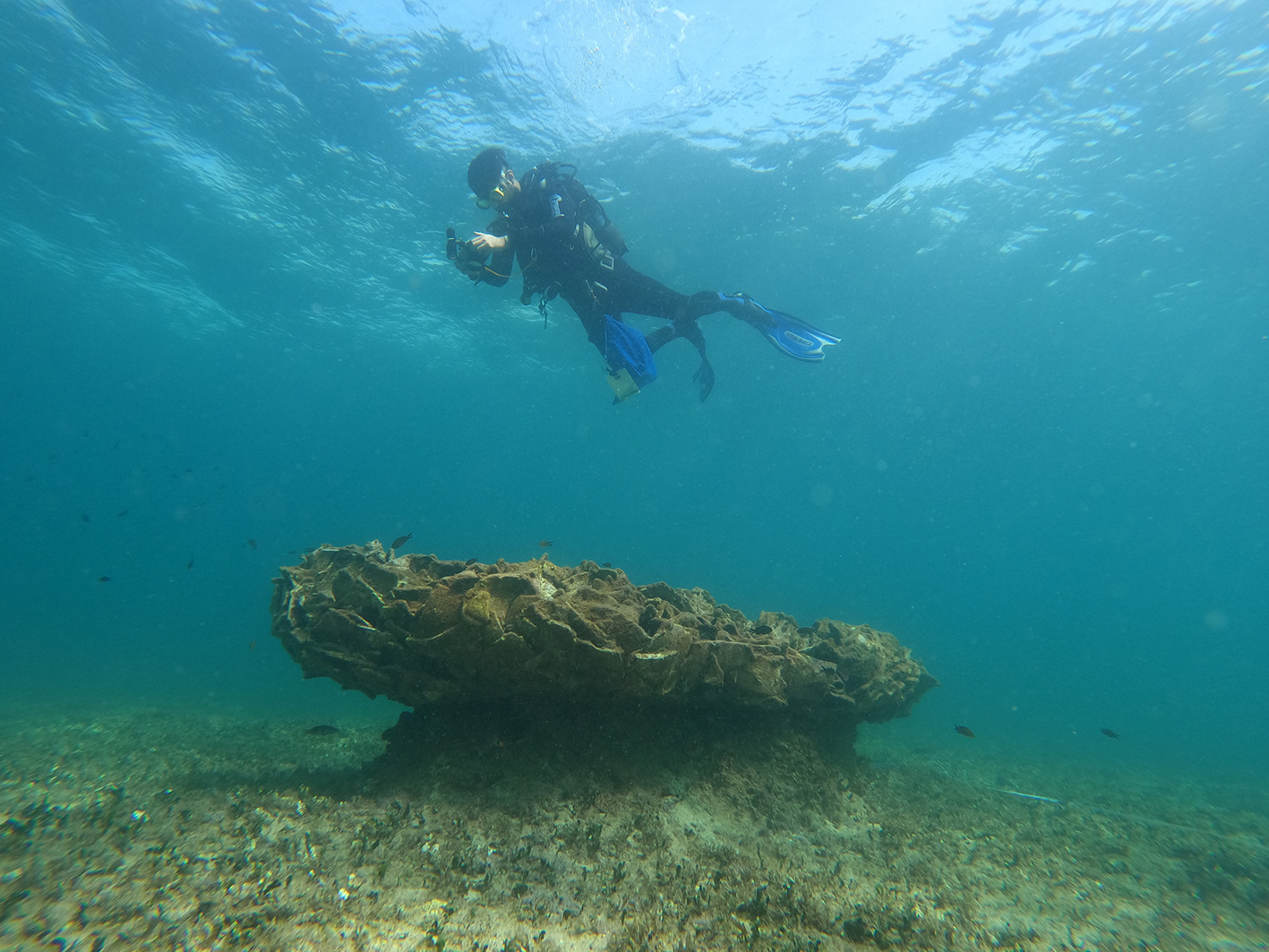 Sott'acqua a Porto Cesareo la storia del Mediterraneo